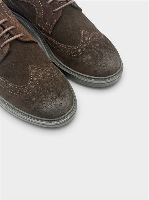 Stringata in camoscio marrone scuro con lavorazione brogue FUNNY DUCK | VR60002CAMOSCIODARK BROWN